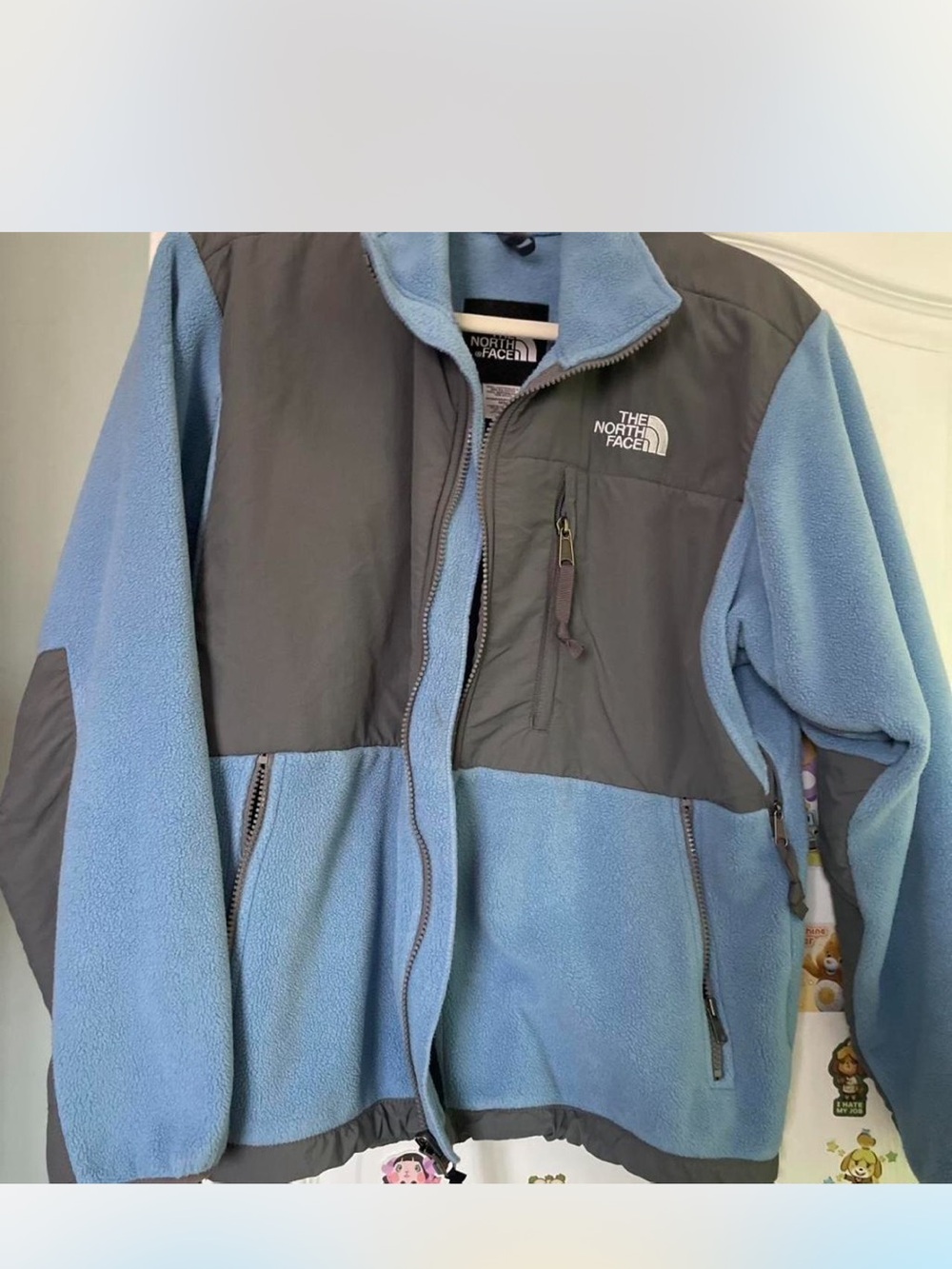 The North Face Light Blue and Gray Fleece Jacket